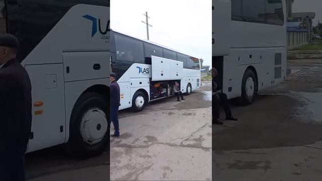 Ташкент Москва автобус смотреть онлайн