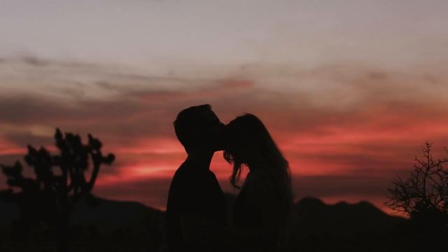 Адвайта при уч Ямыч – ТМЛБ смотреть онлайн