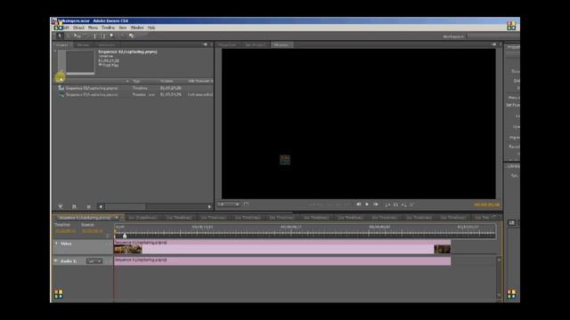 Adobe Encore and Premiere Pro CS4 смотреть онлайн