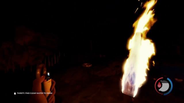 The Forest | Gabe Fan Trophy Guide [PS4 Patch 1.05] смотреть онлайн