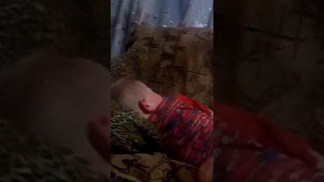 Научил брата показывать средний палец смотреть онлайн