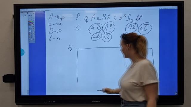 Дигибридное скрещивание. Решение задач смотреть онлайн