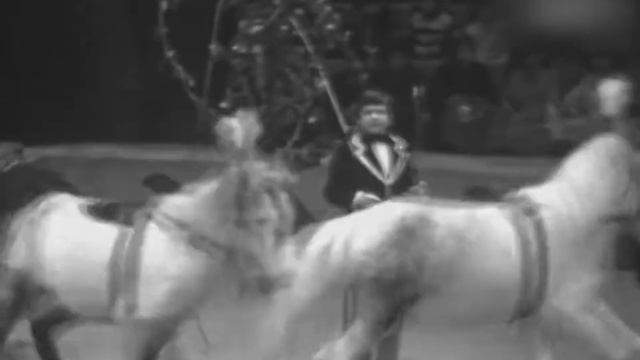 Высоцкий - Диалог у телевизора смотреть онлайн