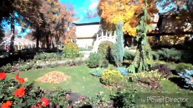 Поездка в "Китай Город" смотреть онлайн