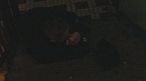 Как избавиться от бомжей в подъезде? Гайд. Лайвхак.