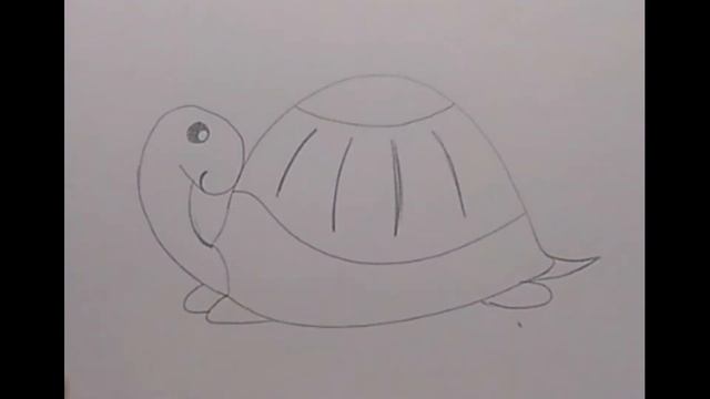Как нарисовать цветную черепашку малышам смотреть онлайн