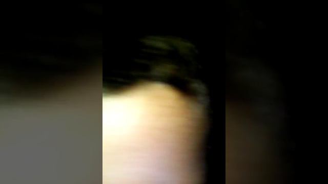 Gu Gu Gu Gustav O