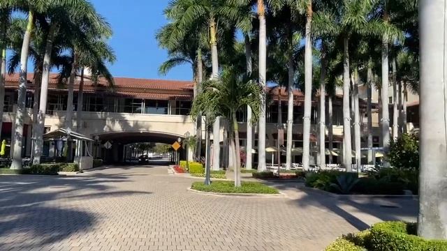 Quarantine in Miami. A day with a DJ смотреть онлайн
