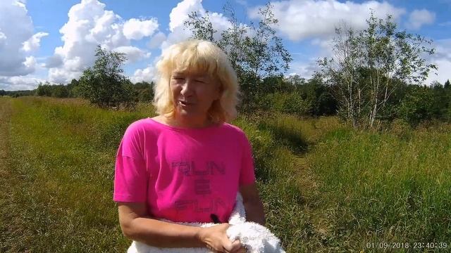 УТРЕННЯЯ ВЫЛАЗКА В ЛЕС//ПРОГУЛКА К РЕЧКЕ//УТРО В ЛЕСУ// смотреть онлайн