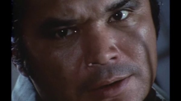 太陽にほえろ！ 第141話 無実の叫び