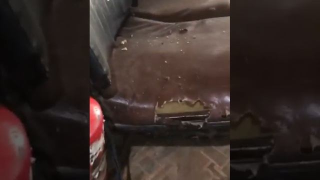 где живут мыши в машине смотреть онлайн