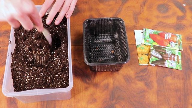 Посев перца на рассаду двумя проверенными способами смотреть онлайн