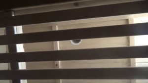 Как отопить предбанник в бане!