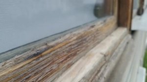 Лак на водной основе год спустя