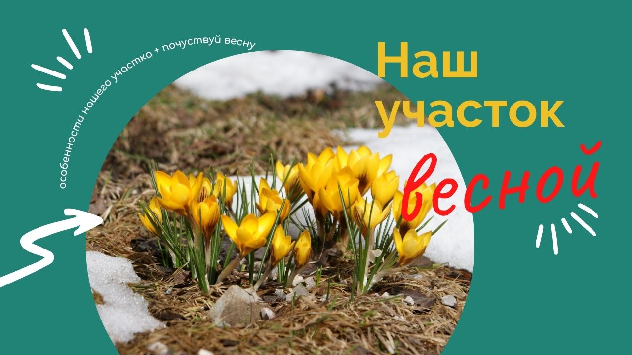 Наш участок весной. смотреть онлайн