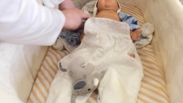после дневного сна с реборном смотреть онлайн