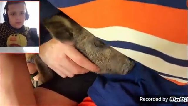 А4 привет от сани легенды маме смотреть онлайн