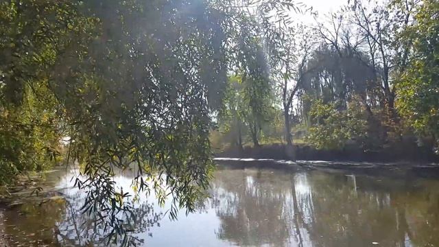 Осень удивляет!???? смотреть онлайн