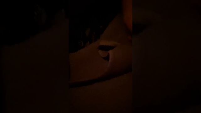 •Влог из кунгура/поездка с одноклассниками•ЕДЕМ НОЧЬ В ПОЕЗДЕ смотреть онлайн