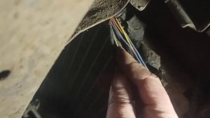 Деу Нексия, пропал звуковой сигнал, предохранитель f14 целый, сигнал ы рабочие