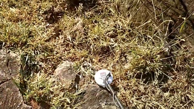 Olha o que achei com o Detector de metais Gold Monster 1000 da MINELAB смотреть онлайн