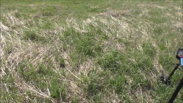 Поисковый сборник/ МАЙ 2023г. №221 смотреть онлайн