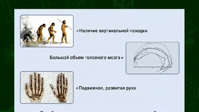 Периодизация истории науки и техники смотреть онлайн