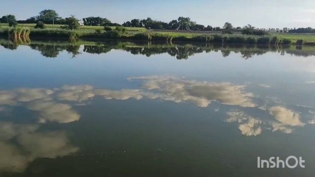 Чемпионат Усть Лабинского района по ловле карпа 2022 водоем Клондайк смотреть онлайн