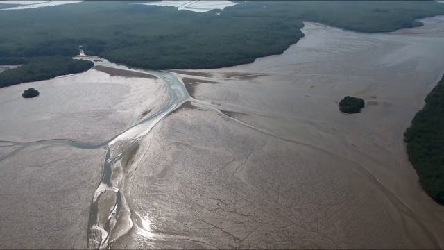 Вот где в Эквадоре выращивают креветки. смотреть онлайн