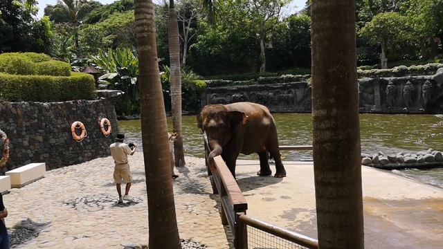 ZOO Bali/Зоопарк на Бали