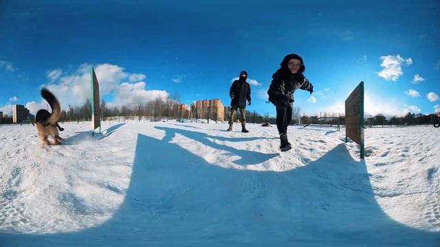 Прогулка с собаками 360 Insta360 One X2 | SlyStories 360 VLOG