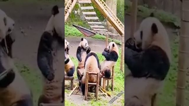 юмор смотреть онлайн