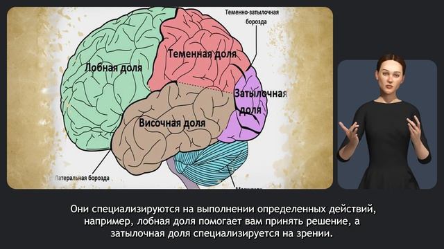 Мозг смотреть онлайн