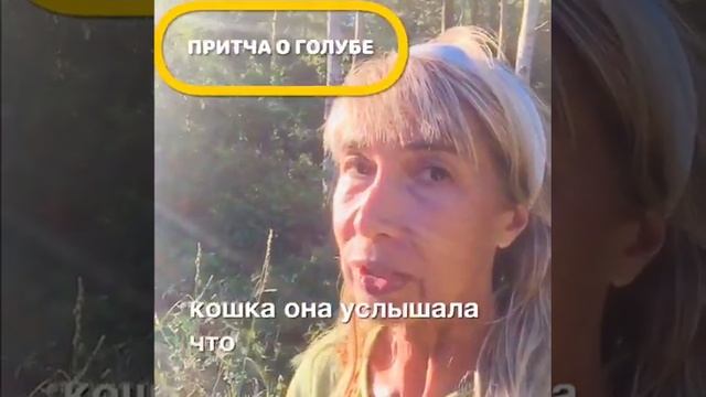 Притча о голубе - сказка