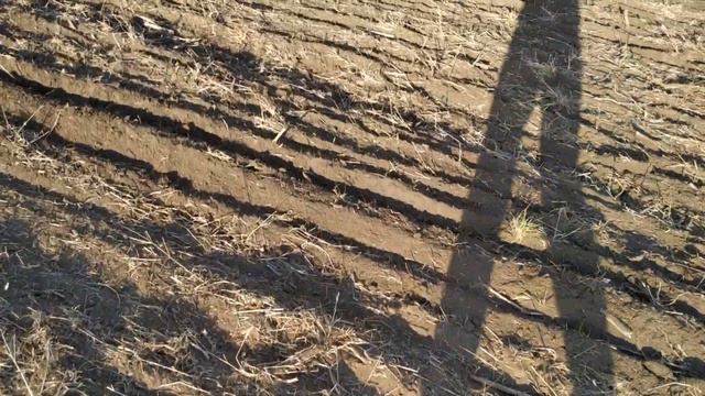 Пахота стойками пароплау, боронование и культивация. смотреть онлайн