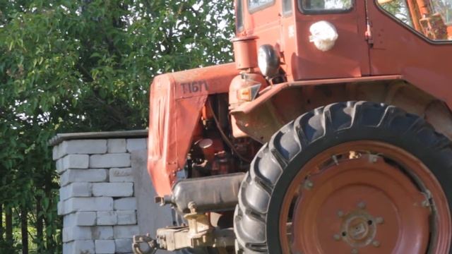 Гнездо трясогузки в тракторе смотреть онлайн