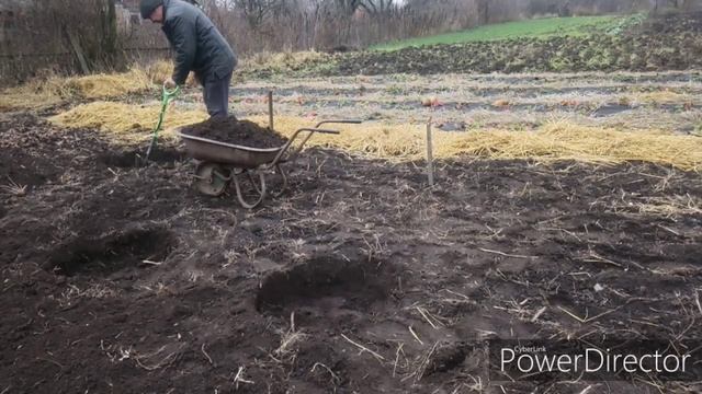 Посадочные ямы под голубику смотреть онлайн