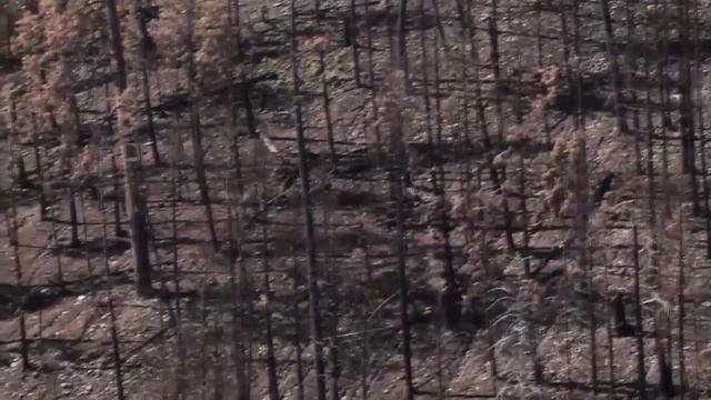 6 сынып Өзін өзі тану сабағы 22 «Мен және қоршаған әлем» смотреть онлайн