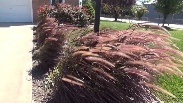 Sony HDR PJ650V Mic Wind Test смотреть онлайн