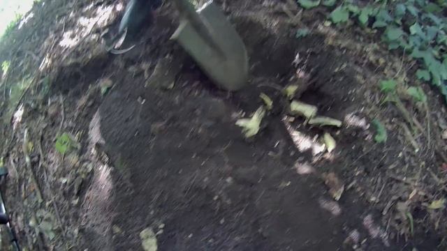 Находки на заброшенной усадьбе. Яблочный сад смотреть онлайн