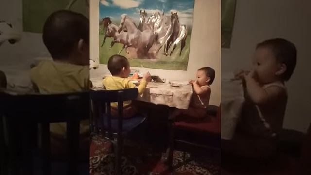 Кто дома хозяин, смотреть всем смотреть онлайн