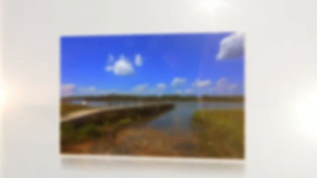 Leadenwah Homes for Sale | Wadmalaw Island, SC смотреть онлайн