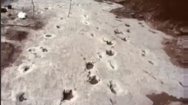 След человека возрастом 150 мл лет смотреть онлайн