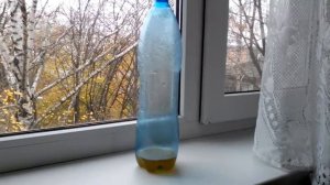 Как избавиться от мышей  в машине to catch mice