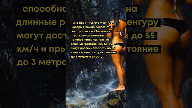 Интересный факт: прыжки кенгуру смотреть онлайн