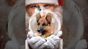 704d8c63-4888-439e-9bf4-3be091502296.mp4