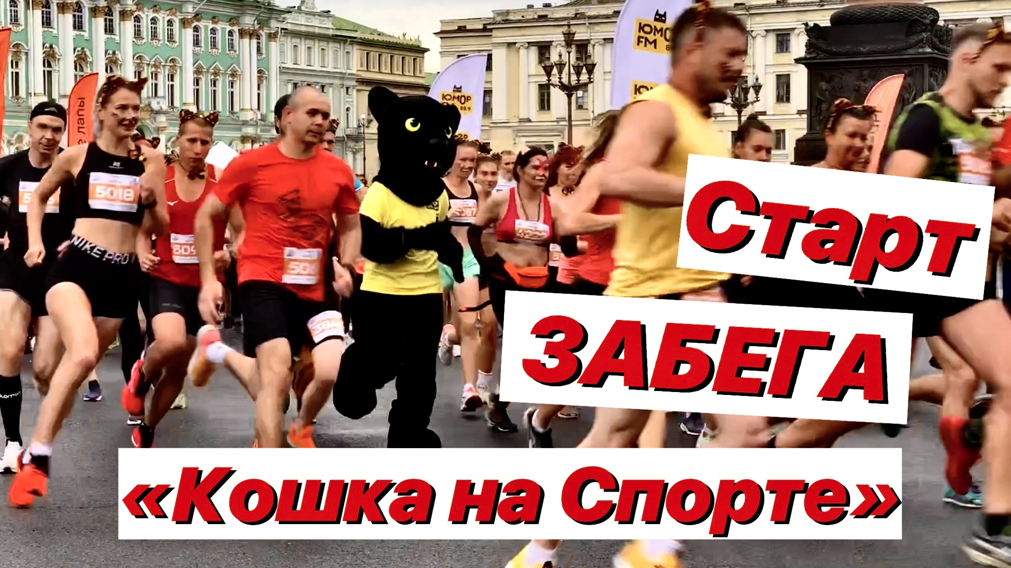 #забег #спортивныеигры Забег «Кошка на Спорте» / Старт смотреть онлайн