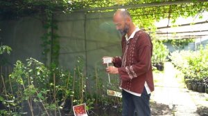 Мичуринский Сад | Прогулки по Тимирязевке