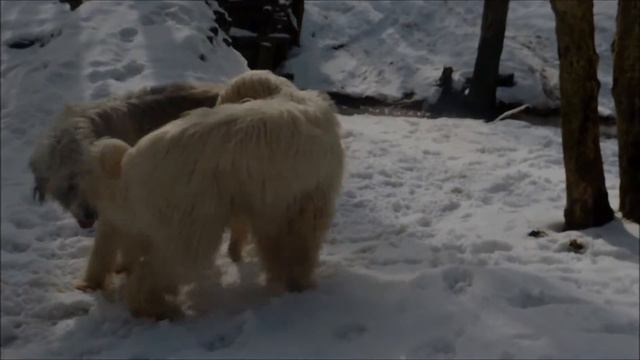 Весна. смотреть онлайн