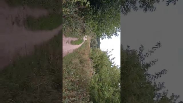 Богатый строитель Бедный строитель смотреть онлайн